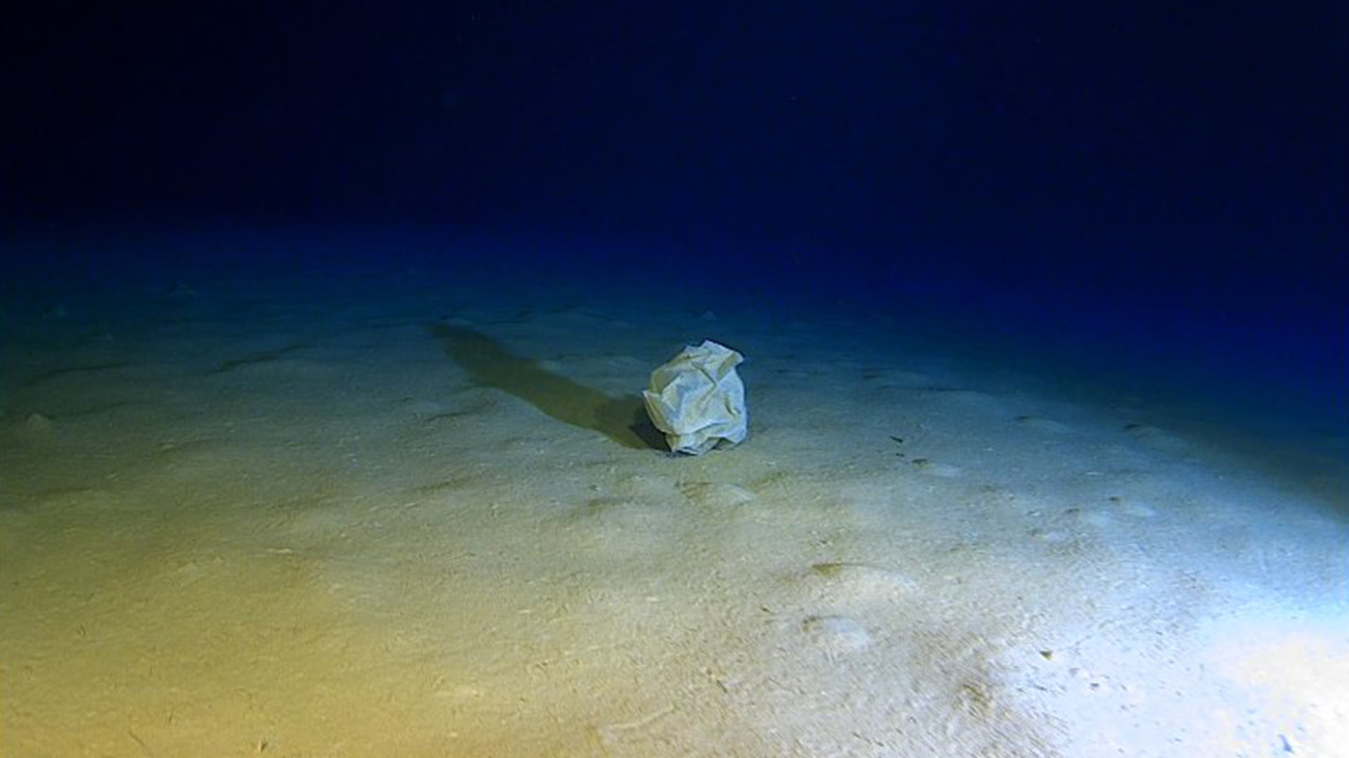 2-EYOS-Calypso-Deep-Floating-Plastic-Bag