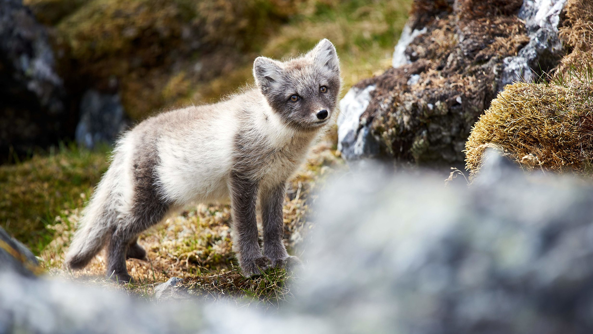 Yacht | Hanse Explorer | Exterior