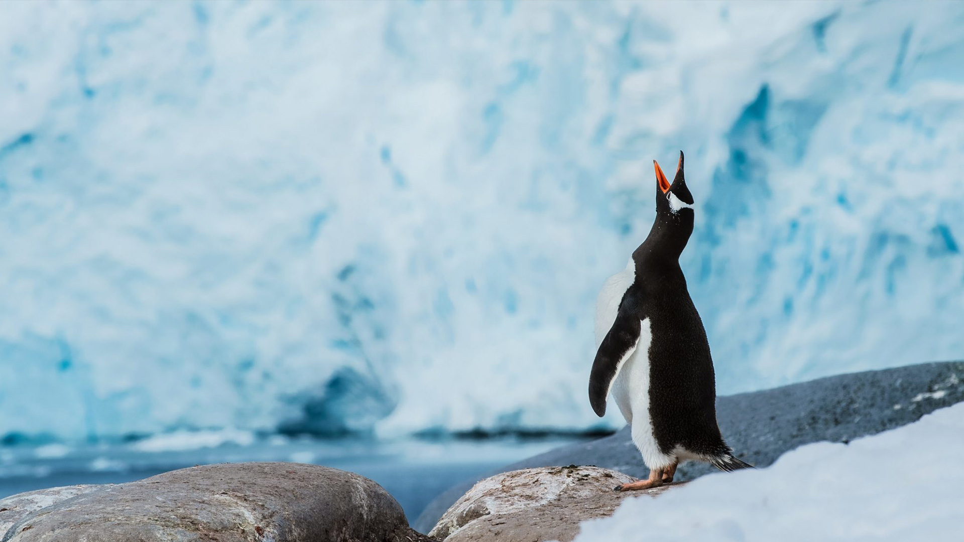 Matt_Hardy_RED_LEG22_185-2048x1152