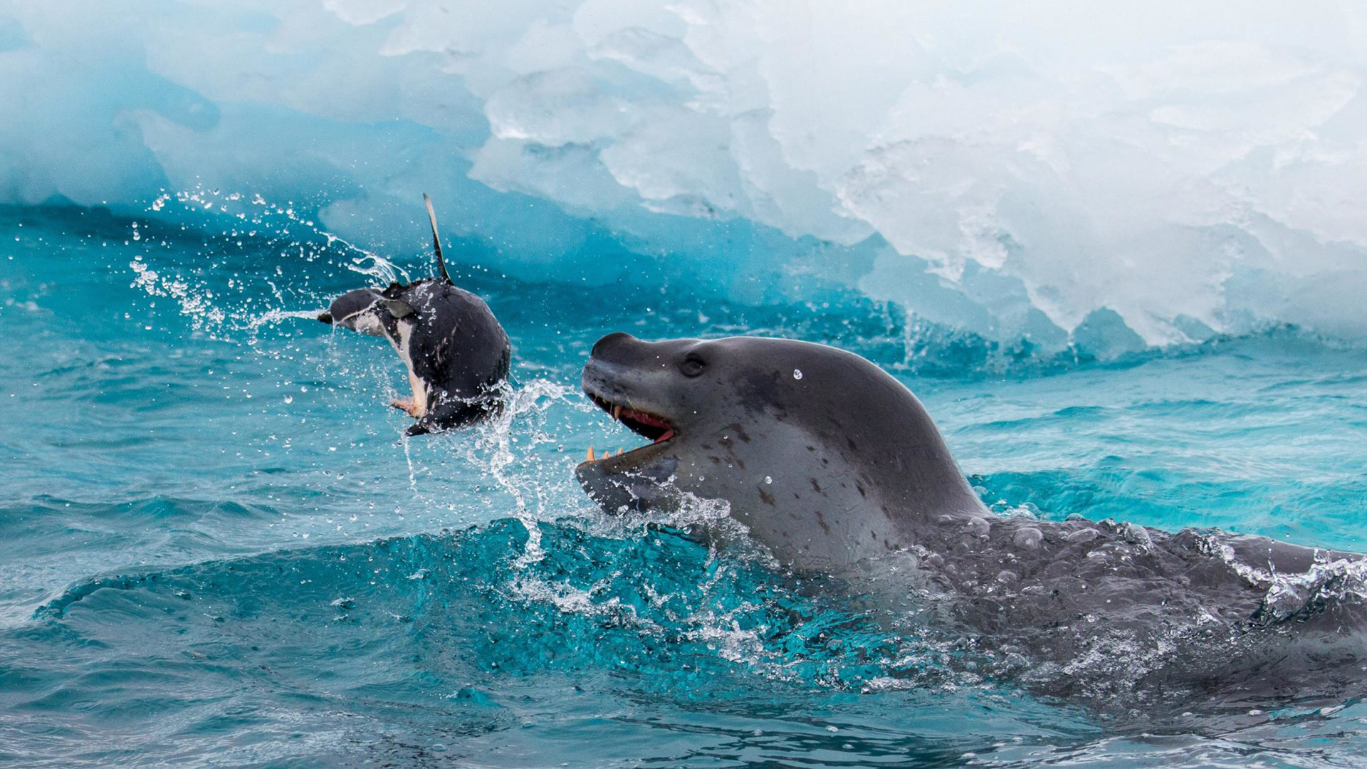 Yacht | Hanse Explorer | Exterior
