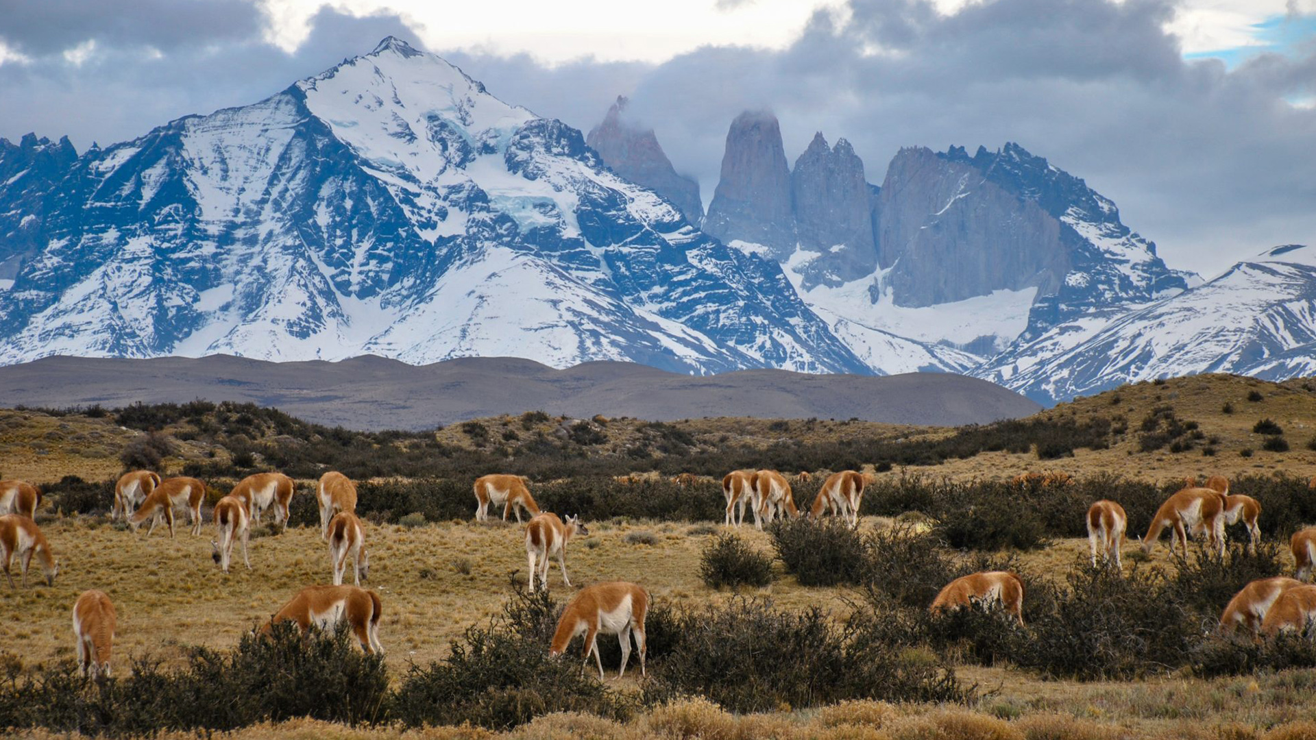 alex-wolowiecki-Zf2mL1gtaVg-unsplash-2048x1316