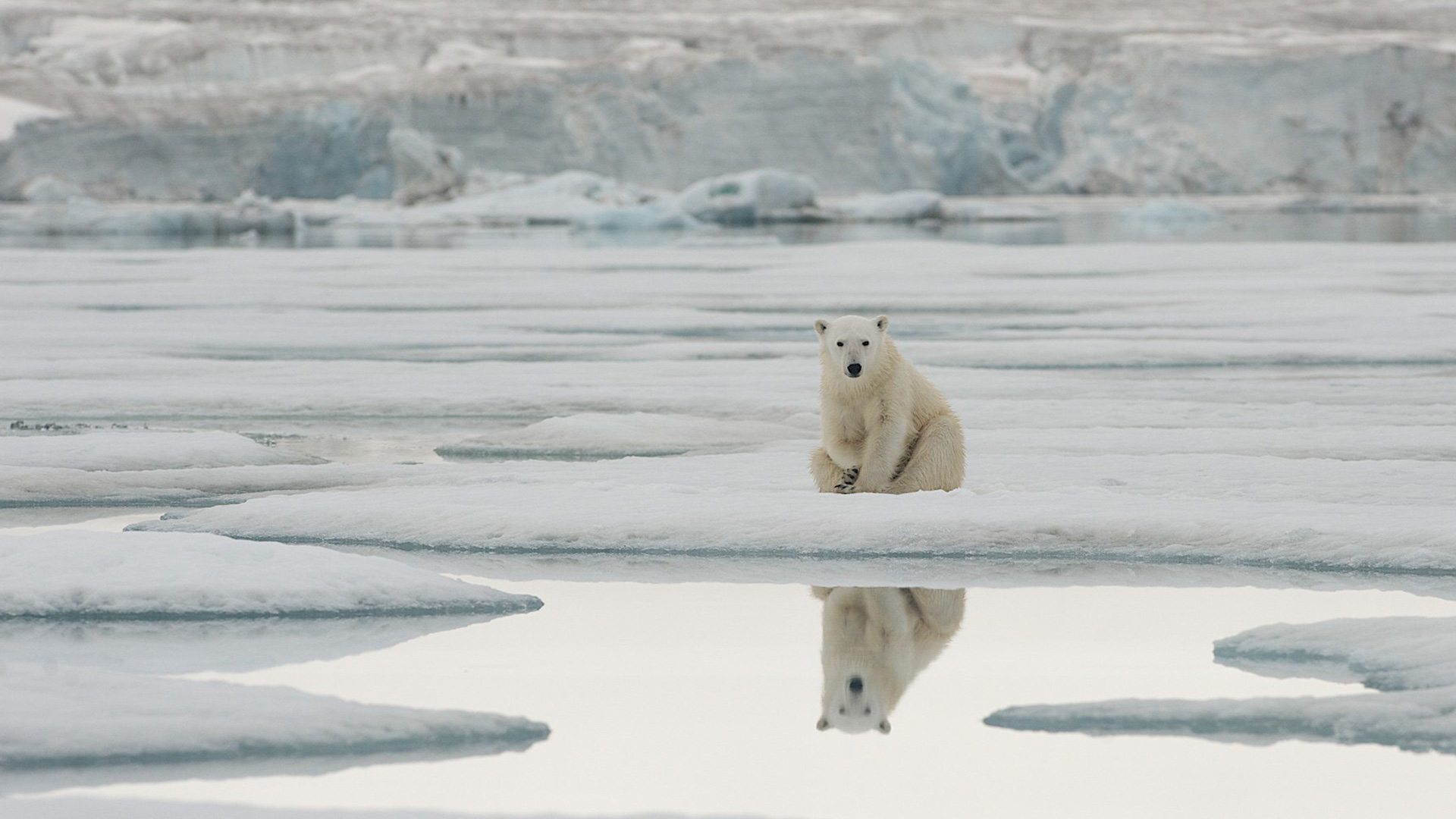 ArcticSvalbardGreenland_DSC_1554