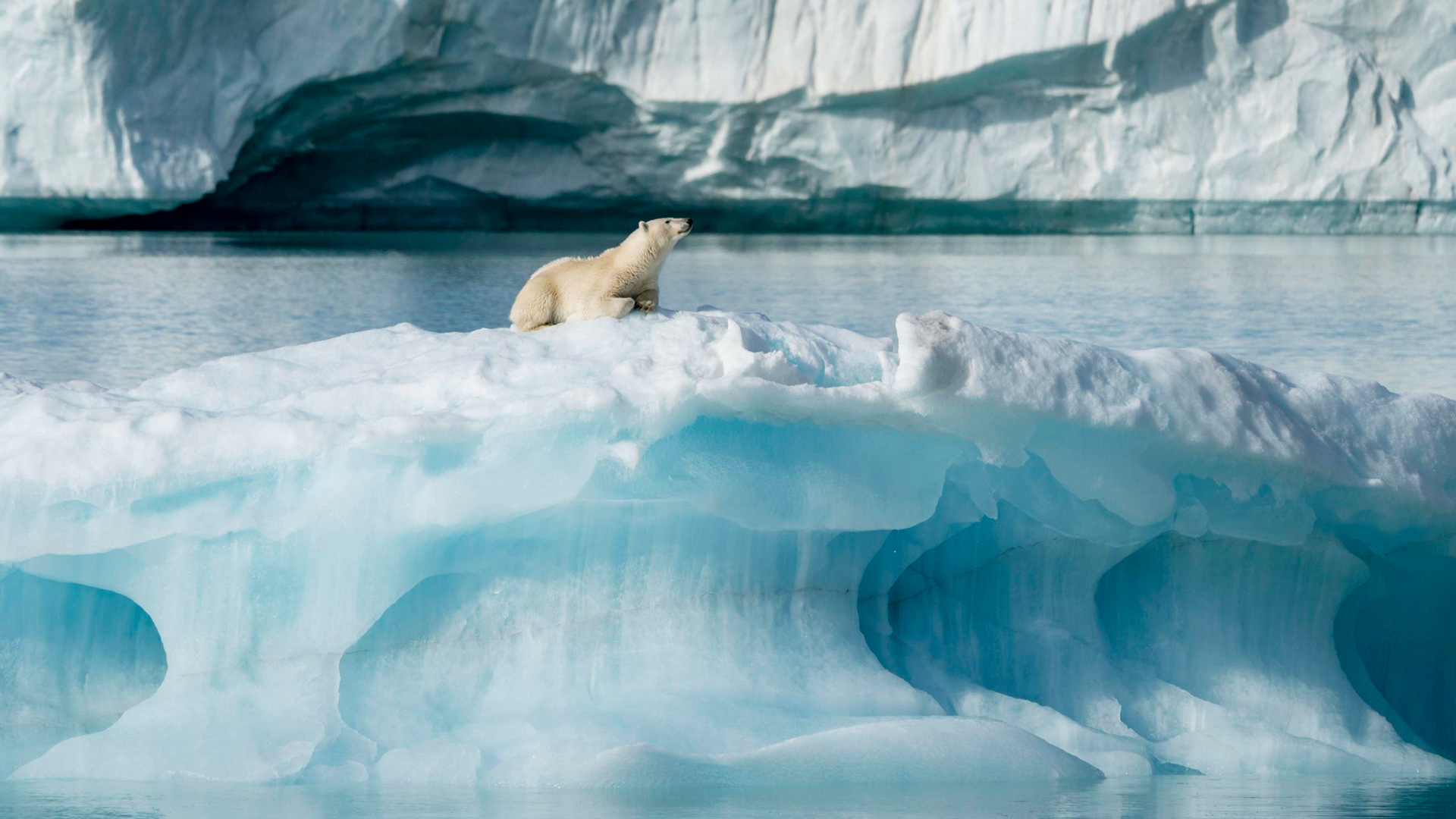 Svalbard: Land of the Polar Bear