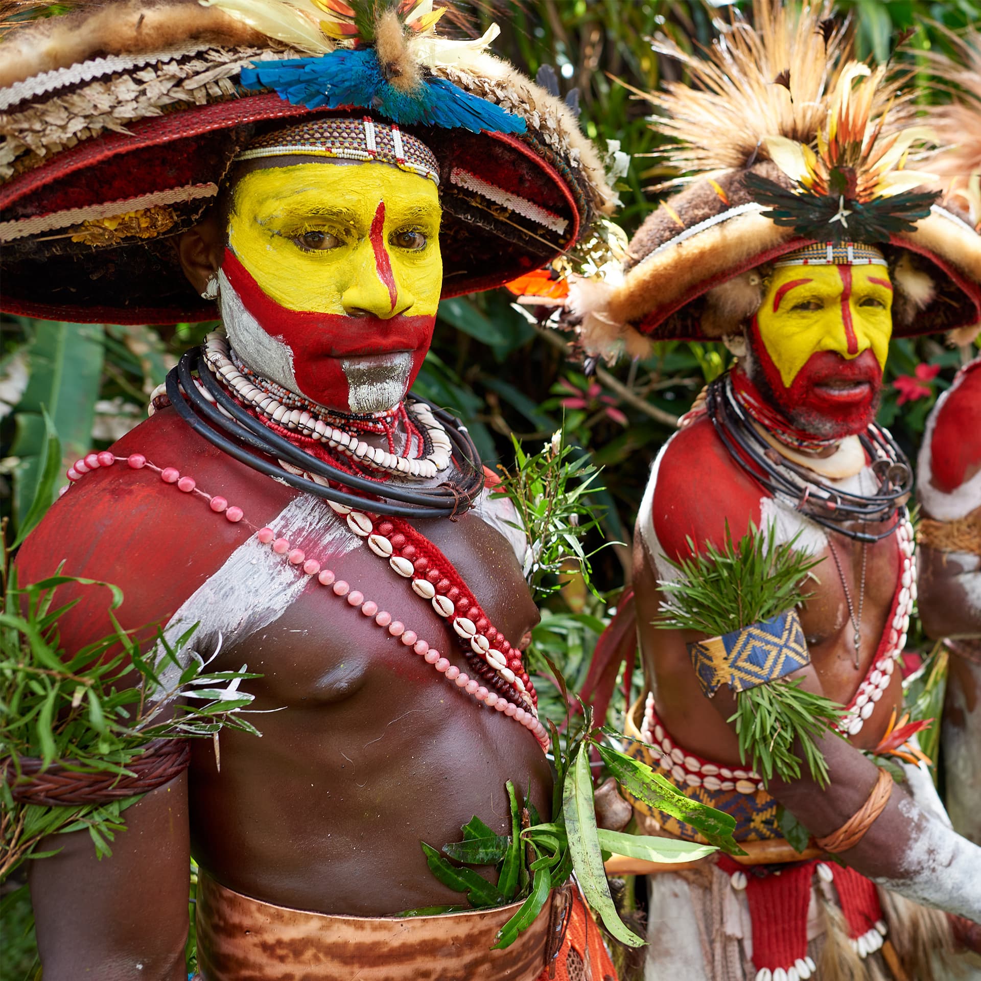Tropical Oceania | Melanesia |Papua New Guinea