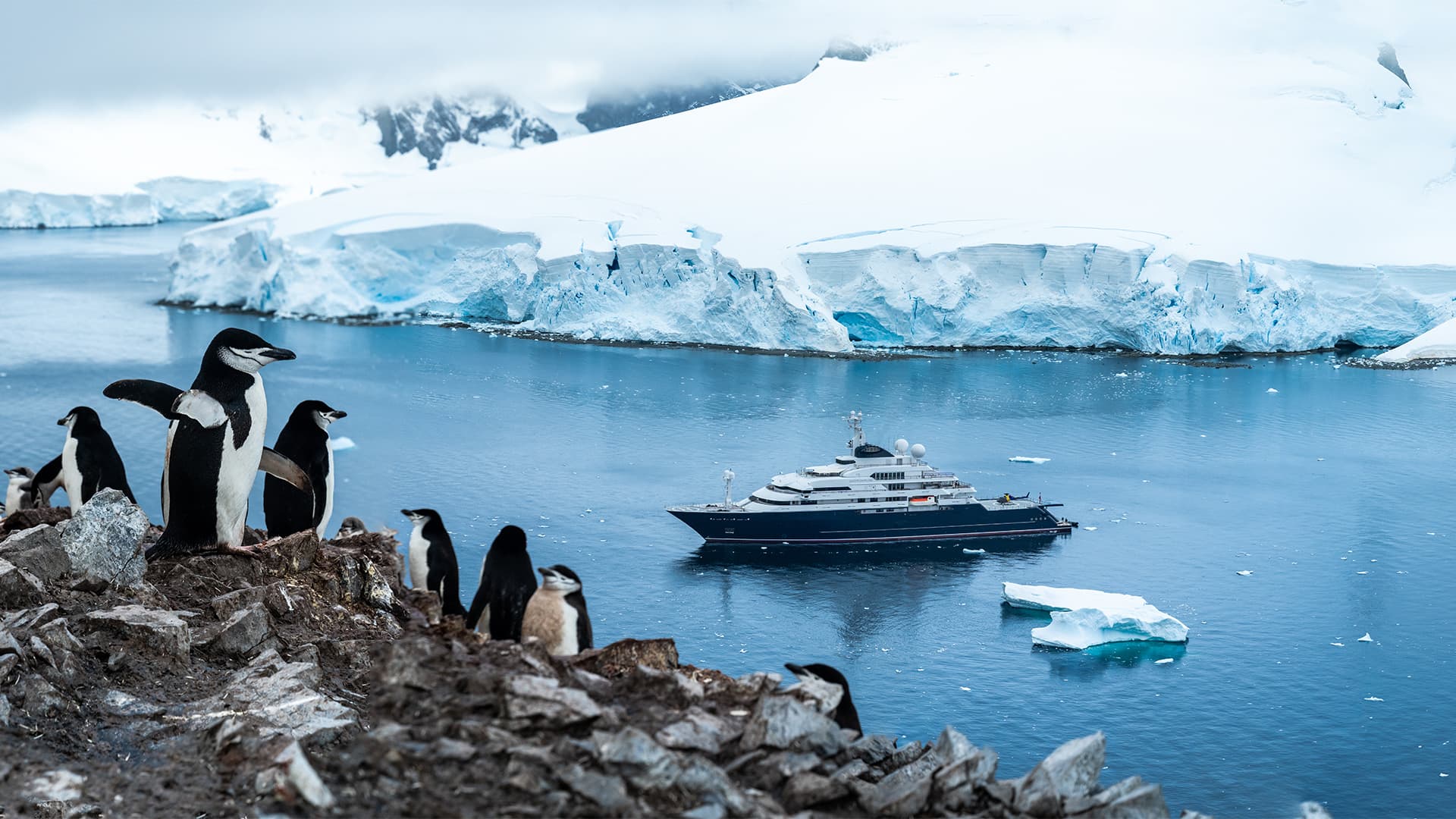 Octopus Expedition Yacht | Antarctica