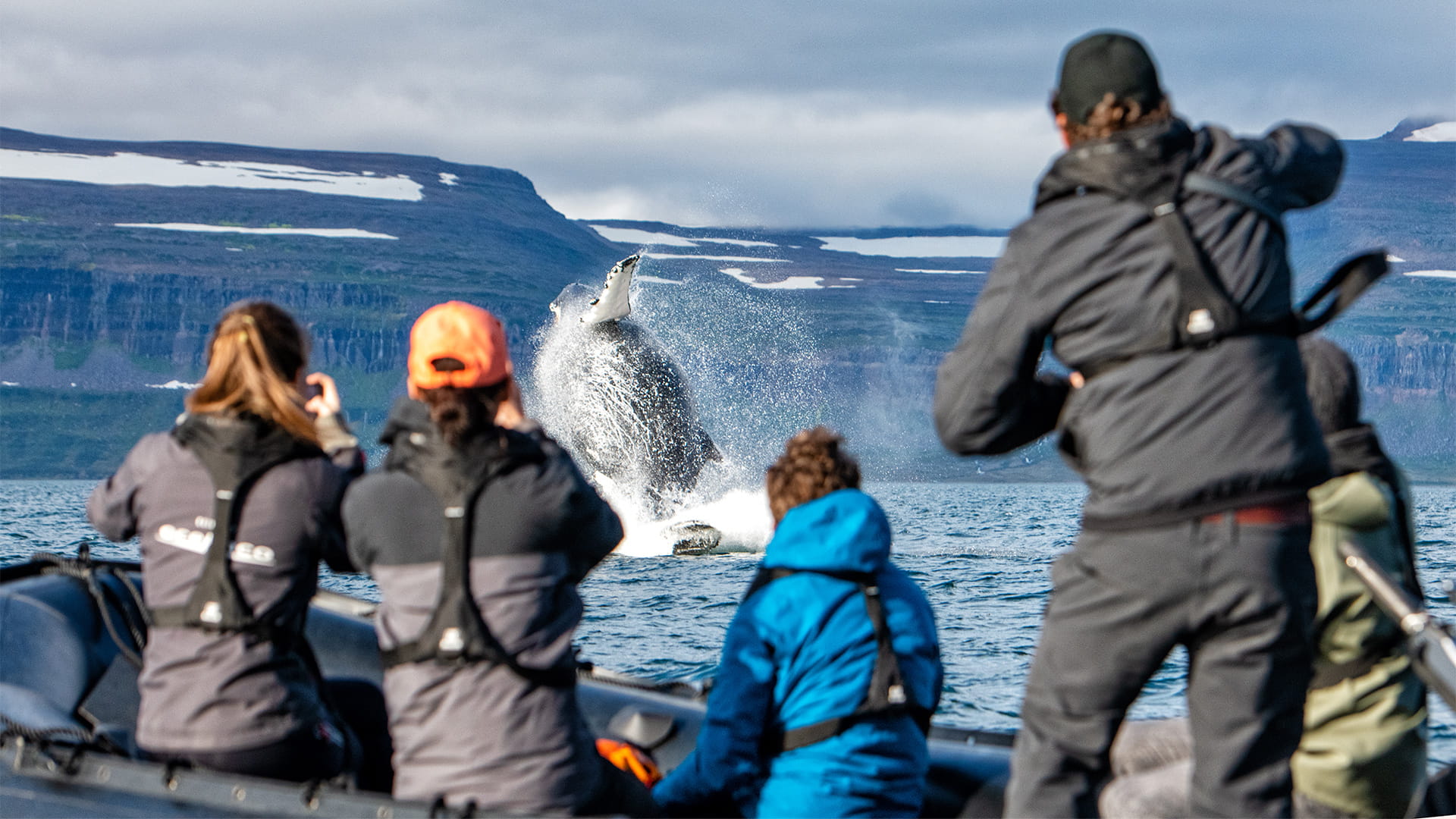 Antarctica Peninsula | Whale Watching | EYOS