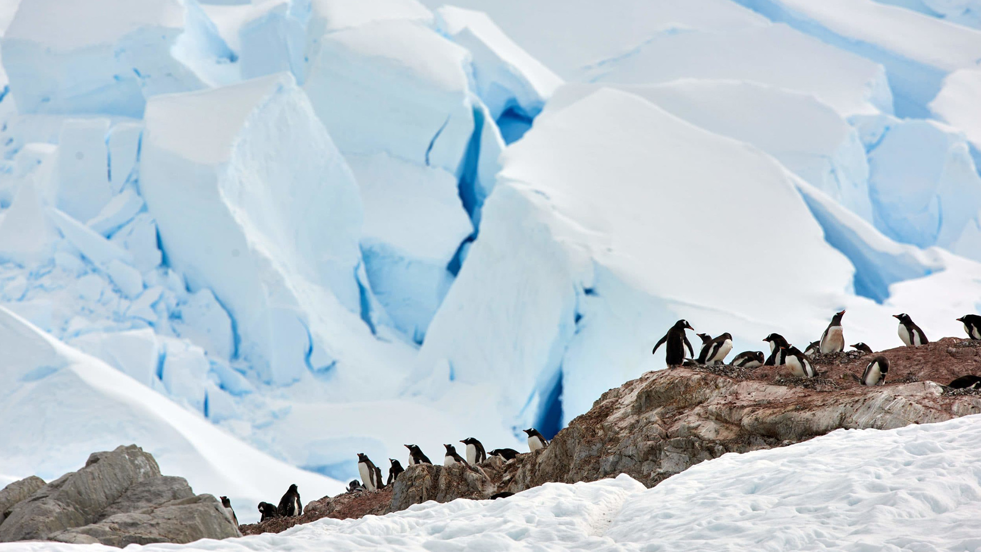 Antarctica Peninsula | Danco Coast | EYOS