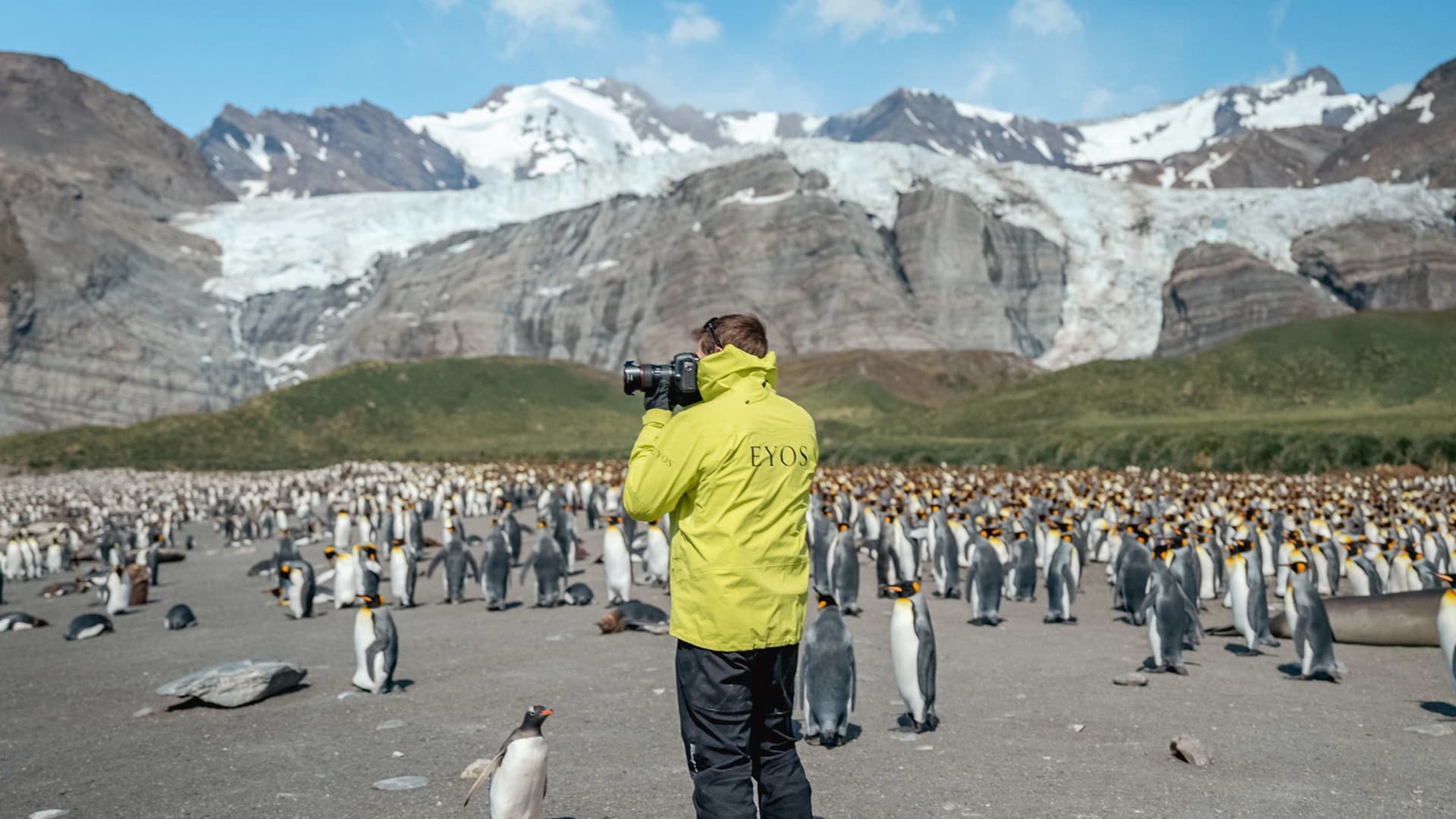 Photographing “The Serengeti of the Southern Ocean”