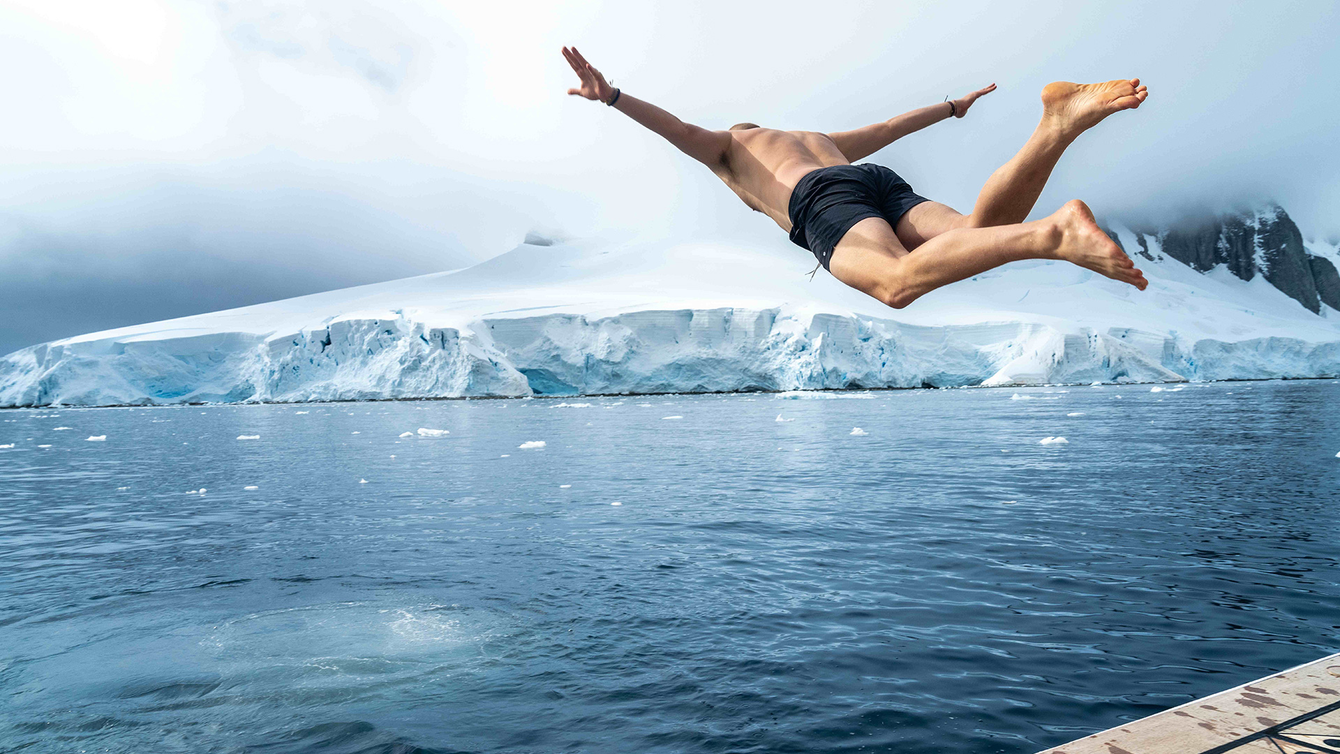 Octopus | Antarctica