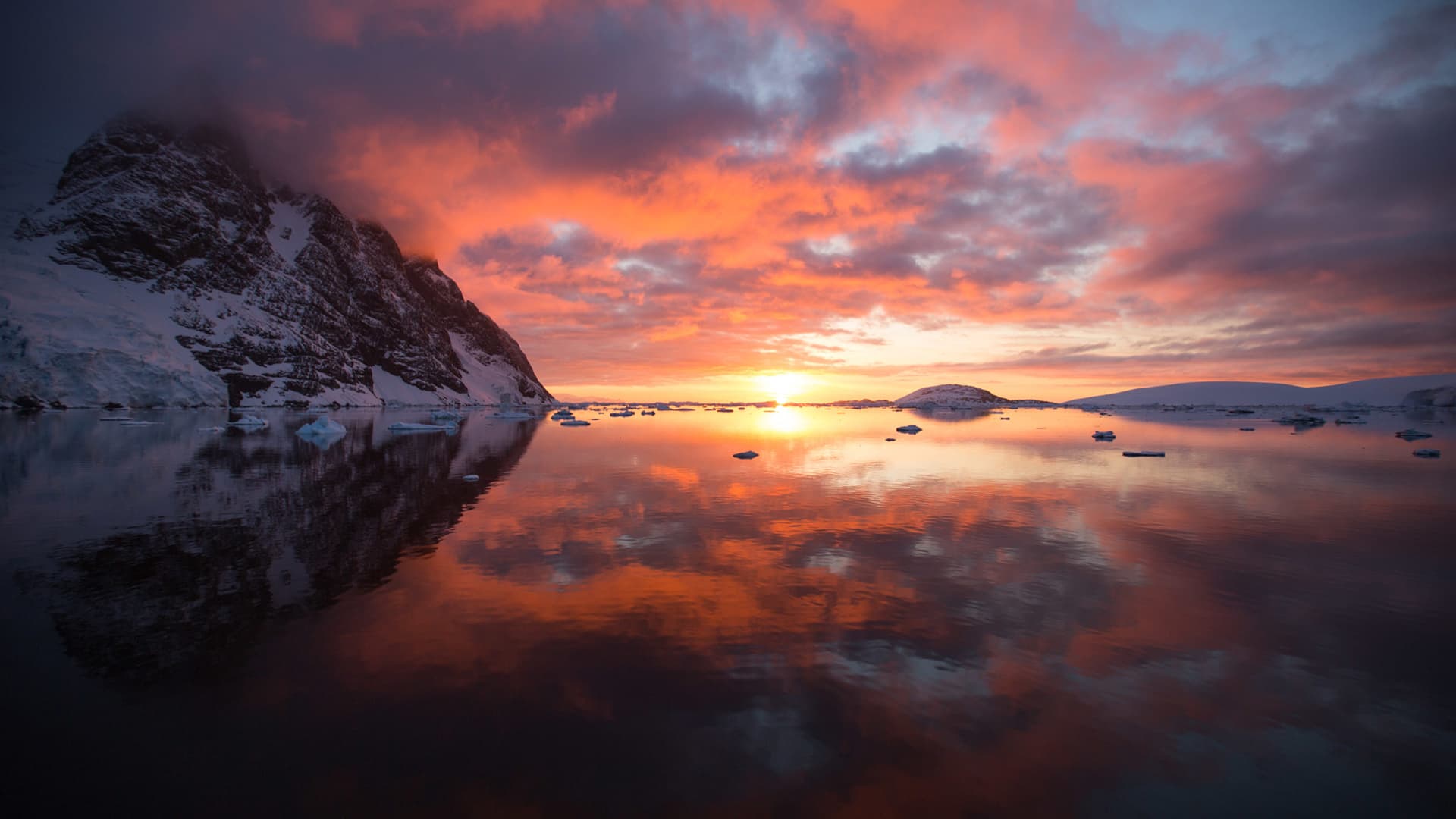 Photographing “The Serengeti of the Southern Ocean”