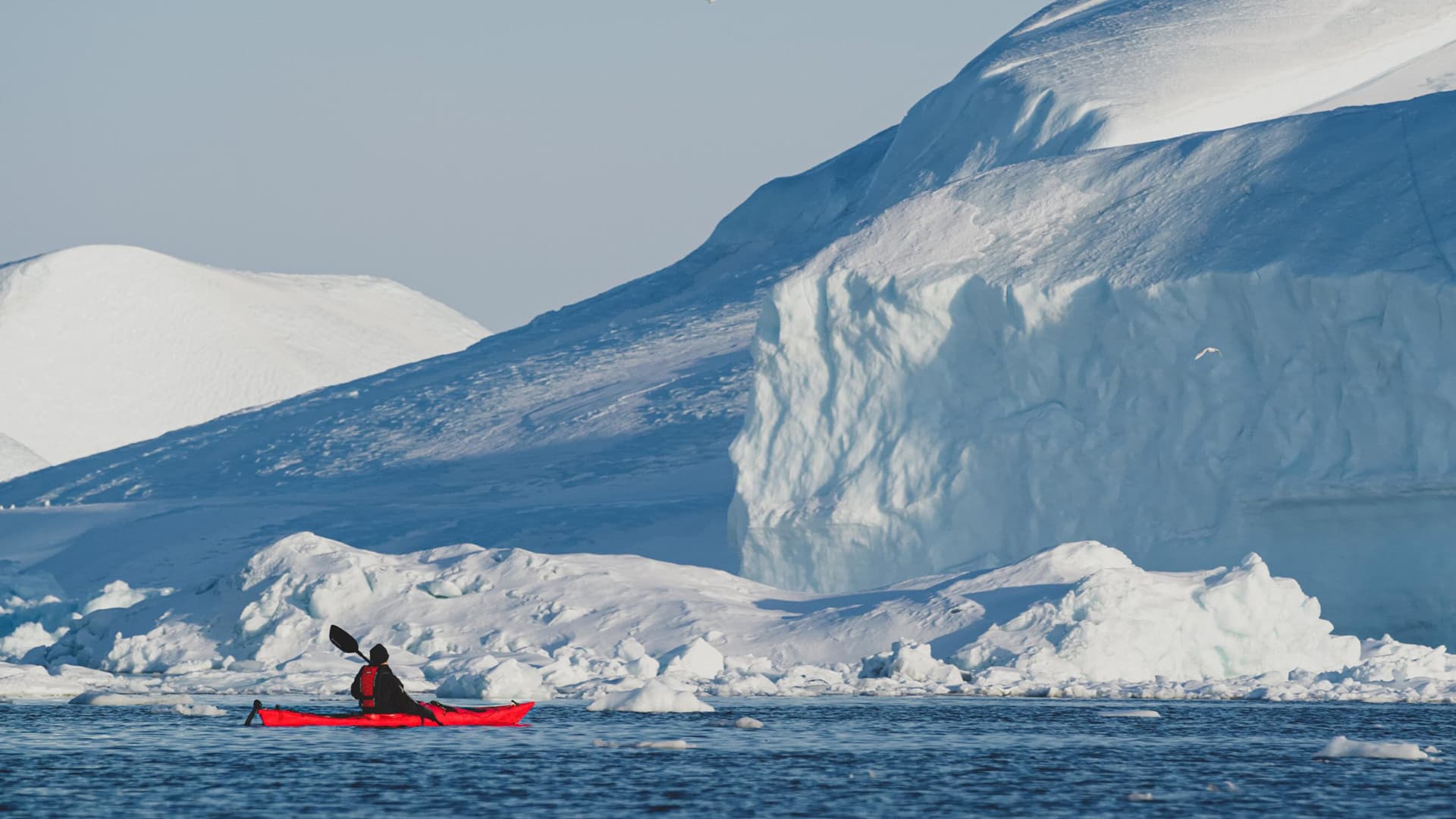 Matt Hardy Greenland