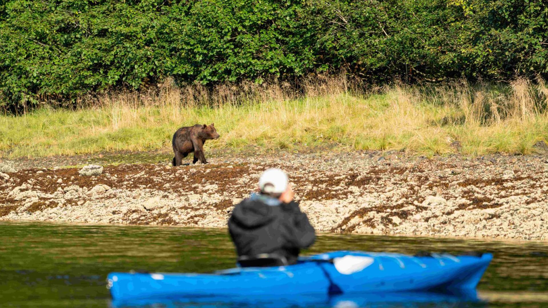 Justin Hofman Alaska